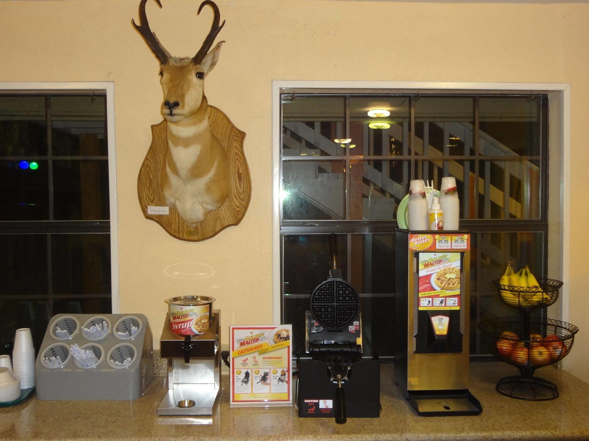 Antlers Inn Goliad Eksteriør billede